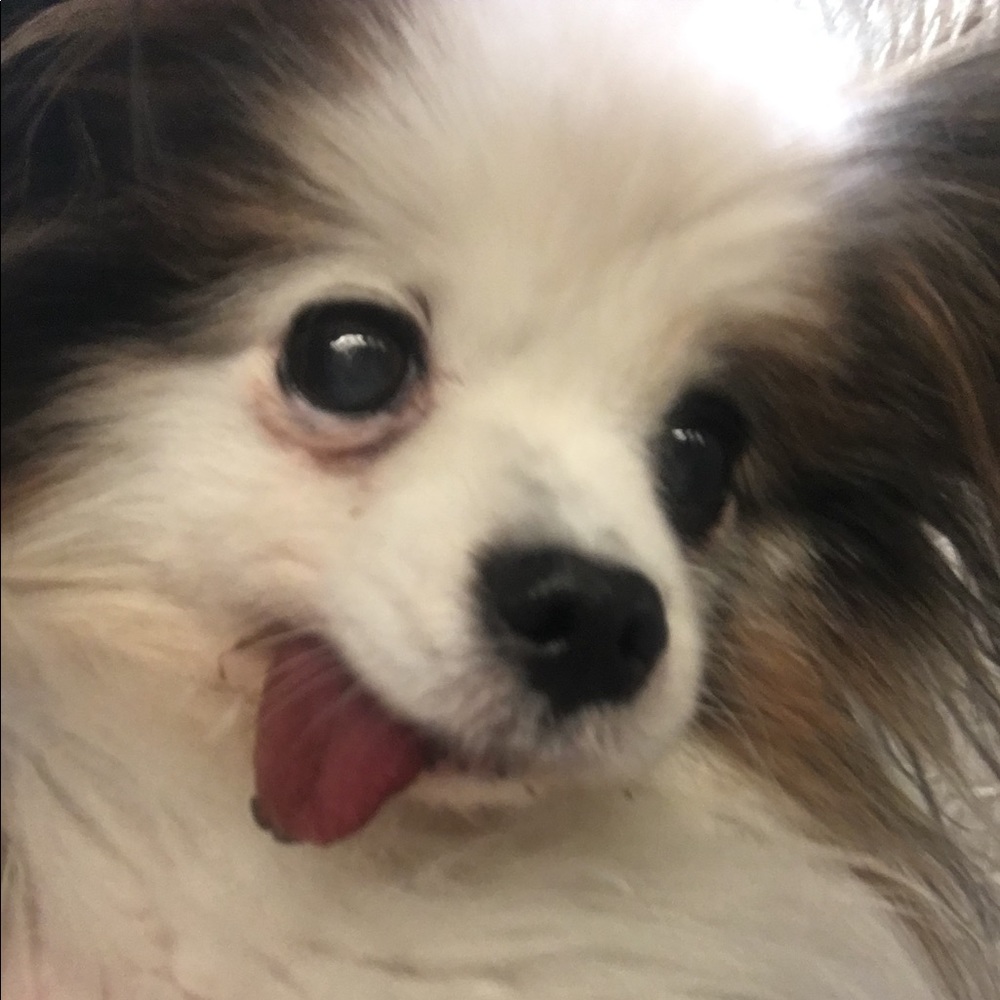 Meet your Posher, Natalie